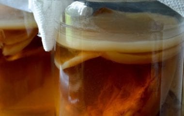 Kombucha Nutraphoria