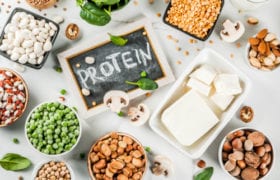 Plant Protein Nutraphoria