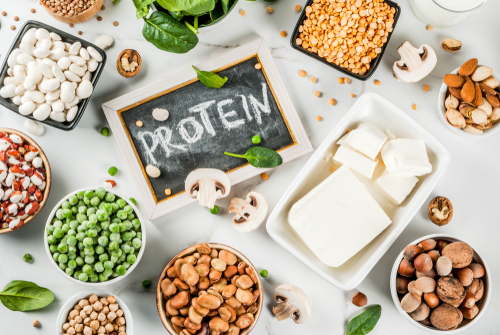 Plant Protein Nutraphoria