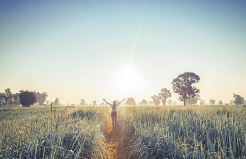 Warrior Diet Nutraphoria