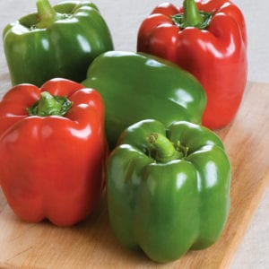 Bell Peppers Nutraphoria