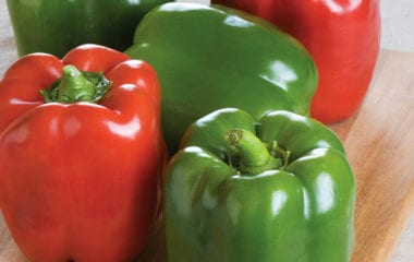 Bell Peppers Nutraphoria