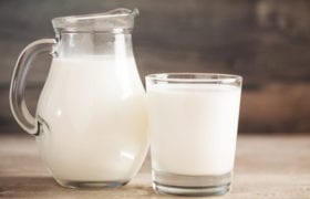 Milk Nutraphoria
