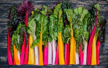 Swiss Chard Nutraphoria