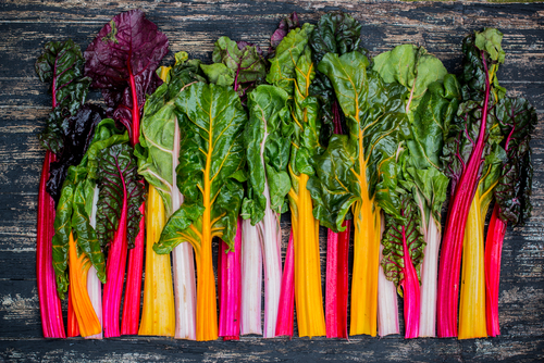 Swiss Chard Nutraphoria