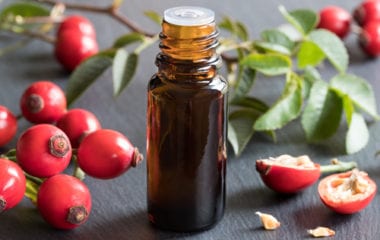 Benefits Of Rosehip Oil Nutraphoria