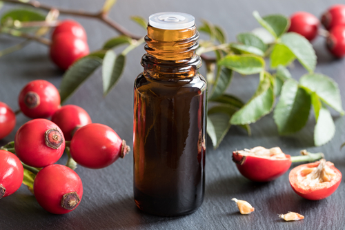 Benefits Of Rosehip Oil Nutraphoria