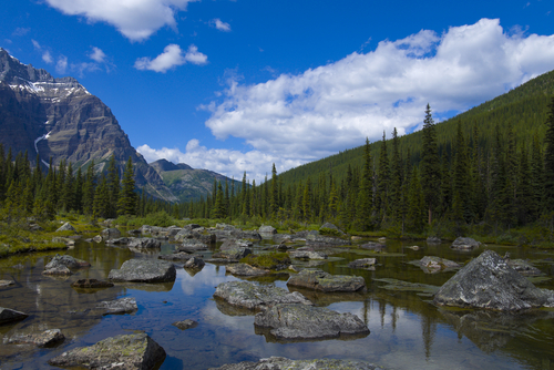 Benefits of Going Outdoors Nutraphoria