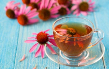 Echinacea Tea Nutraphoria