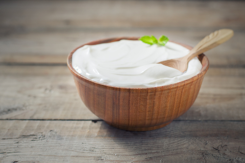 Greek Yogurt Recipes Nutraphoria