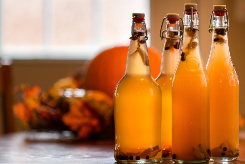 Benefits of Kombucha Nutraphoria