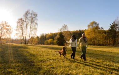 Maintaining Your Mental Health and Wellness