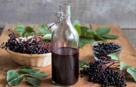 Health Benefits of Elderberry