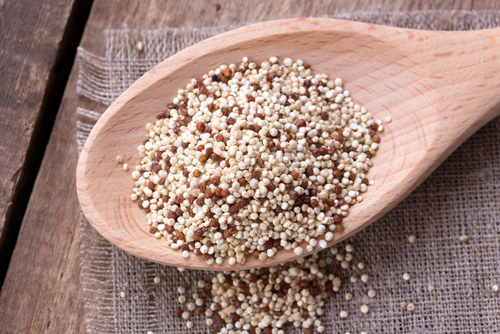 Tri-Colour Quinoa, Kale, and Chickpea Salad