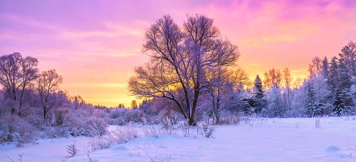 Boost Your Mood and Immunity for Winter