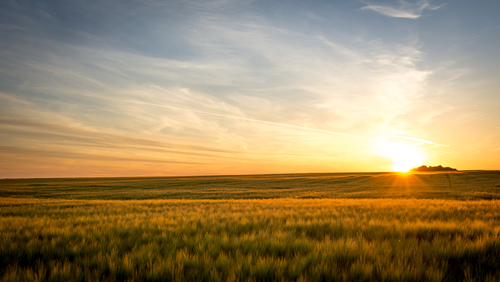 5 Natural Ways to Boost Your Serotonin Levels