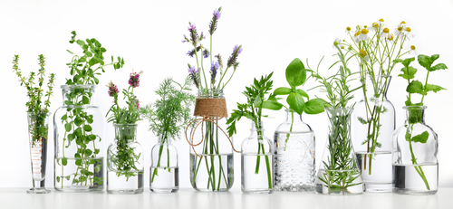 5 Ways to Naturally Support Detox