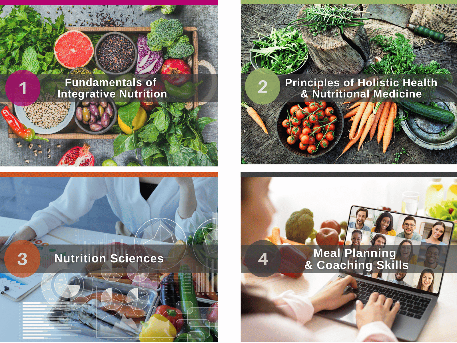 holistic nutrition & health coach program