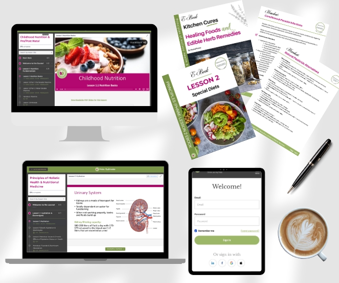 holistic nutritionist program, holistic health coach certification holistic nutritionist program, holistic health coach certification