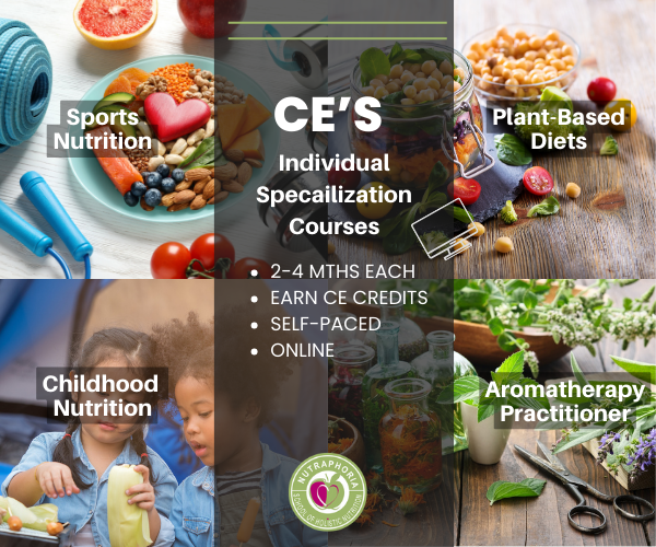 Online nutrition courses Online nutrition courses
