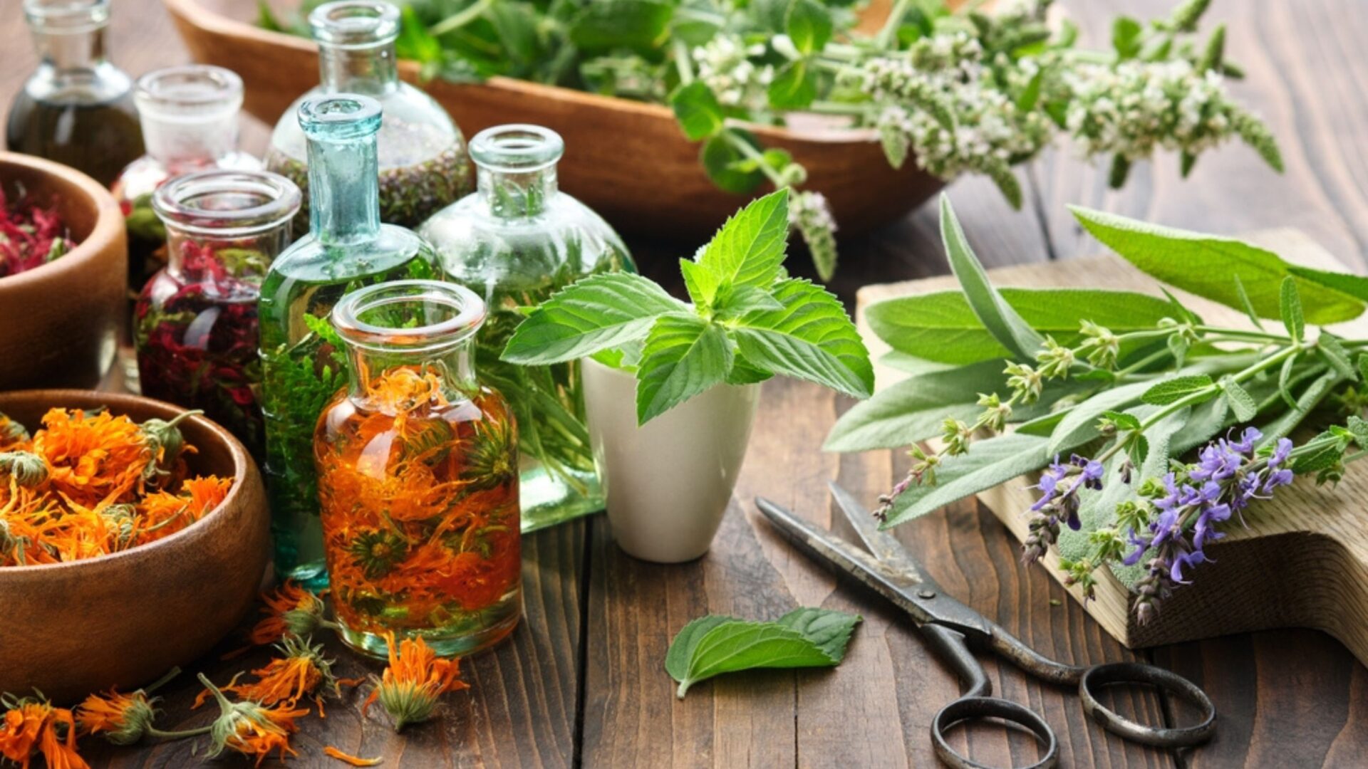 aromatherapy course oils plants