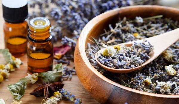 aromatherapy course oils