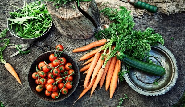 wood and vegetables principles of holistic health course