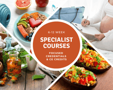 specialist courses holistic nutrition 
