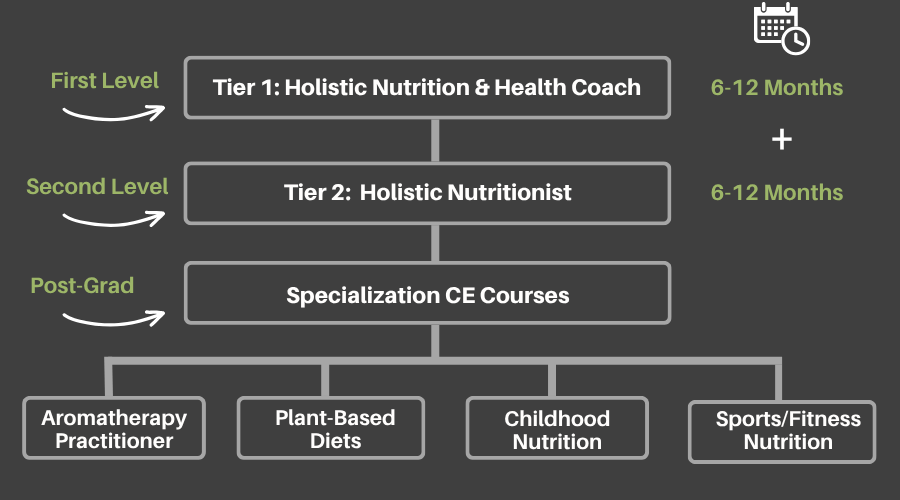 Main Course & program list table education path table holistic nutritionist nutrition coach certification