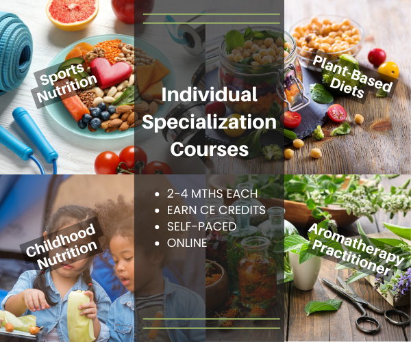 CE credit specialization courses 