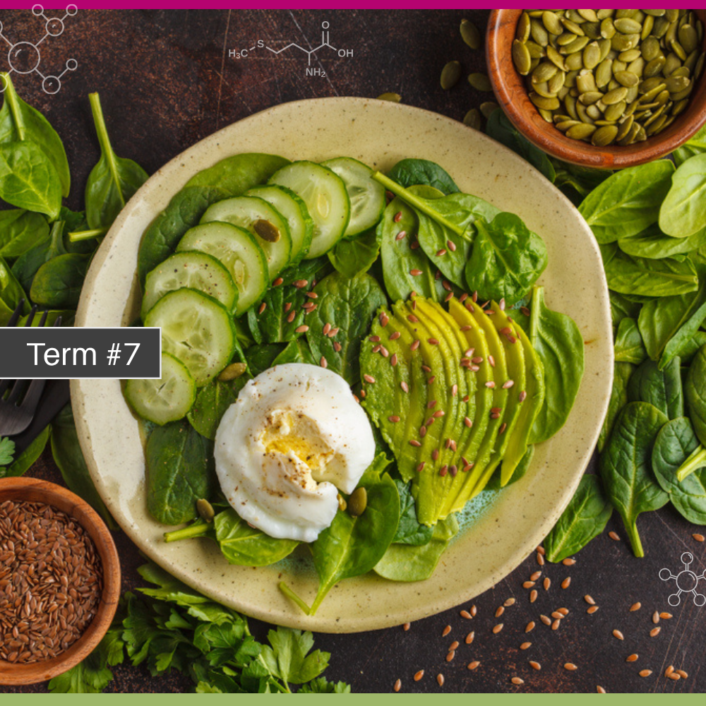 Mind Body Nutrition course