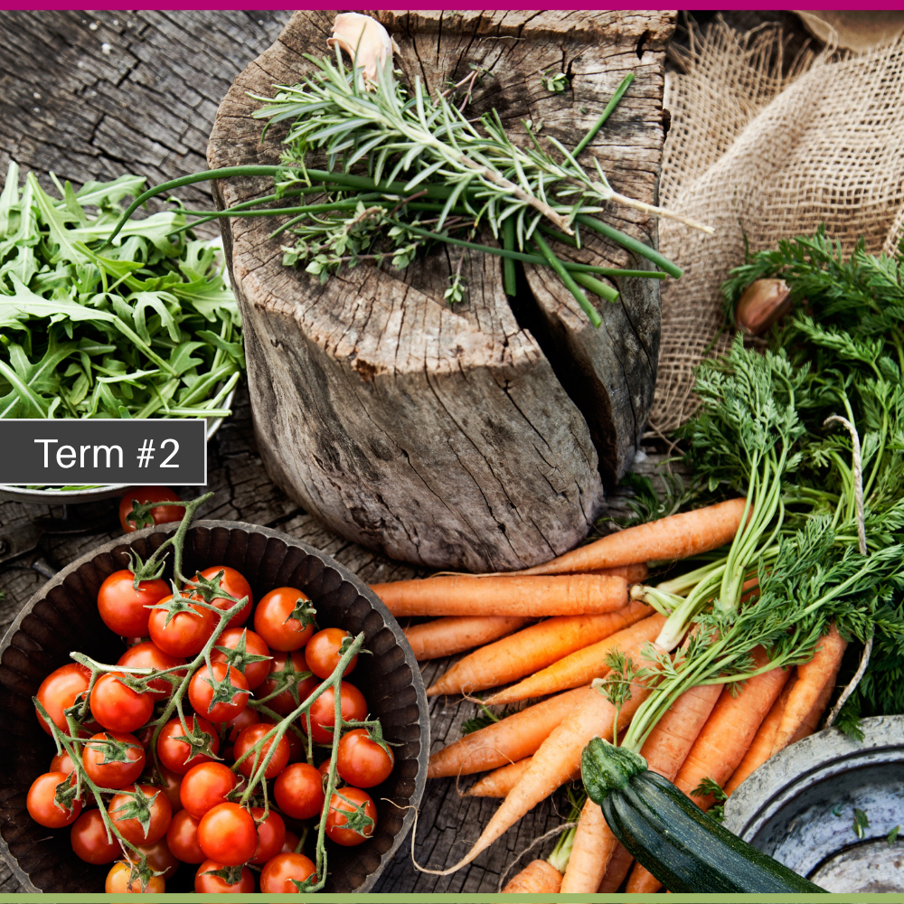 Principles of Holistic Health and Nutritional Medicine course